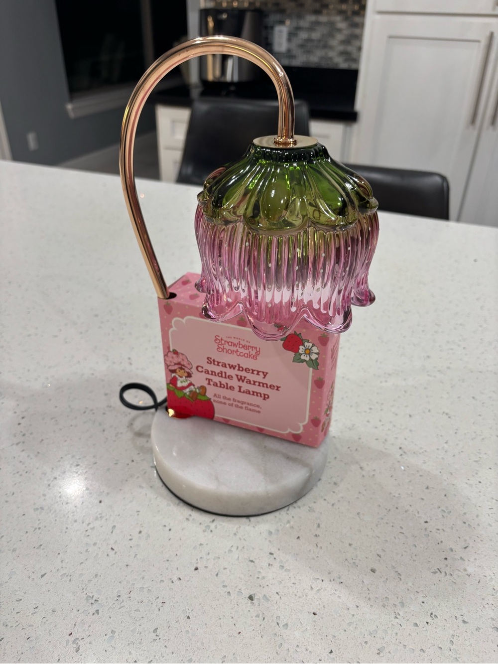 Strawberry Shortcake Pink & Green Glass Candle Warmer Table Lamp